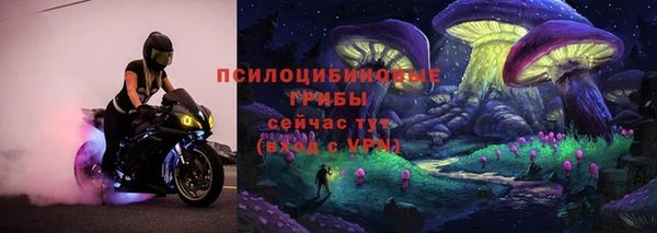 дурь Алзамай