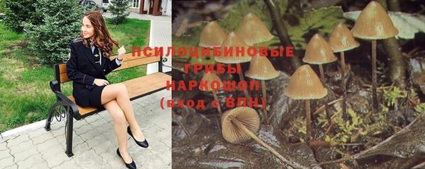 дурь Алзамай