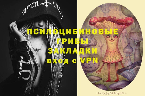 Альфа ПВП Алексин