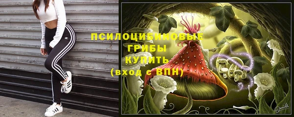 Альфа ПВП Алексин