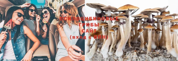 Альфа ПВП Алексин