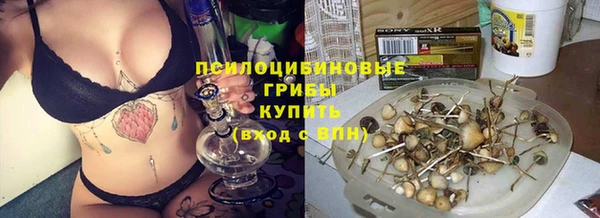 дурь Алзамай