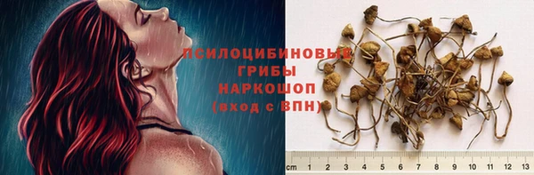 дурь Алзамай