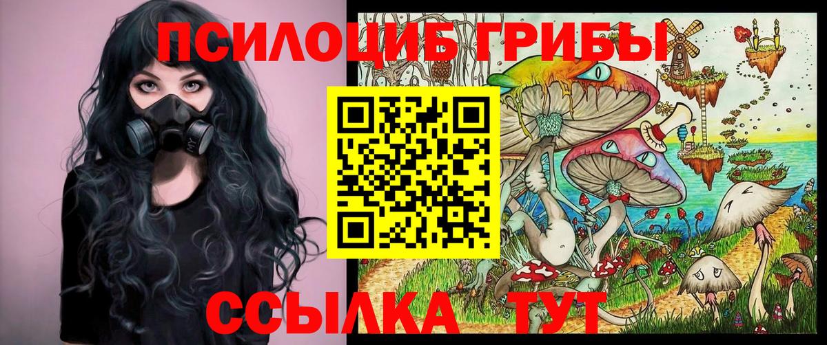Галлюциногенные грибы Psilocybe  Псилоцибиновые грибы мицелий  Похвистнево  Вход с VPN 